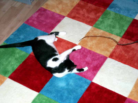 Klicken zum Vergrößern