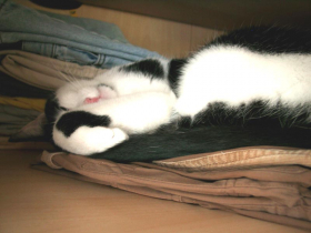 Klicken zum Vergrößern