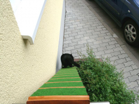 Klicken zum Vergrößern