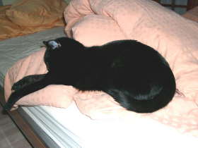 Klicken zum Vergrößern