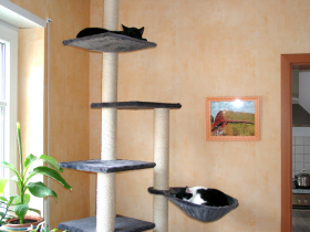 Klicken zum Vergrößern