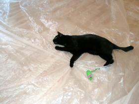 Klicken zum Vergrößern