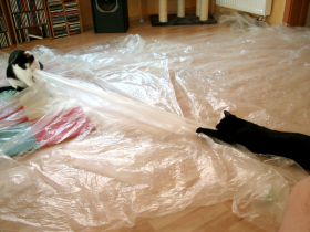 Klicken zum Vergrößern