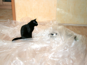 Klicken zum Vergrößern