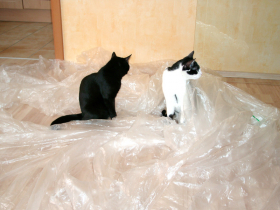 Klicken zum Vergrößern