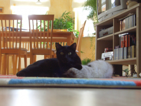 Klicken zum Vergrößern