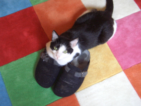 Klicken zum Vergrößern