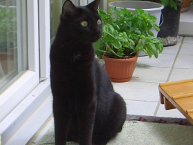 Klicken zum Vergrößern