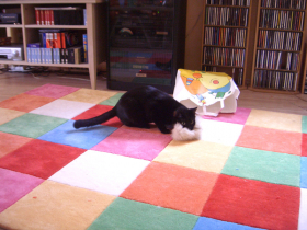 Klicken zum Vergrößern