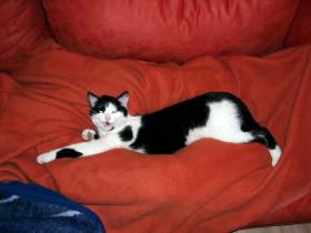 Klicken zum Vergrößern