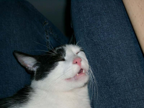 Klicken zum Vergrößern