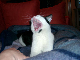 Klicken zum Vergrößern