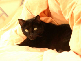 Klicken zum Vergrößern